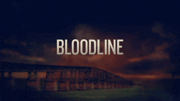 bloodline season 2 GIF by Bloodline