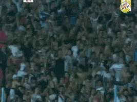 zain  GIF