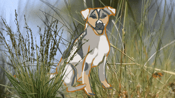 zitatrukse #sound effects # scratching dog #animation GIF