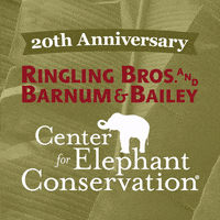 GIF by Ringling Bros. and Barnum & Bailey