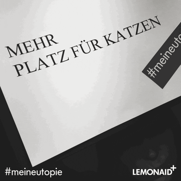 Jena Meineuotpie GIF by Lemonaid