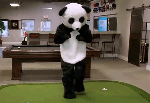 New trending GIF tagged dance dancing panda cmt… | Trending Gifs