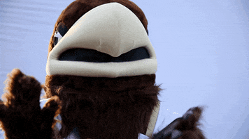 football come at me GIF by Lehigh University