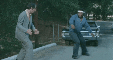 Kung Fu Fighting Blaxploitation GIF by Warner Archive