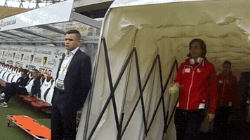 maciejrogowski  GIF
