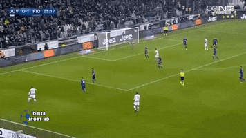 yazed  GIF