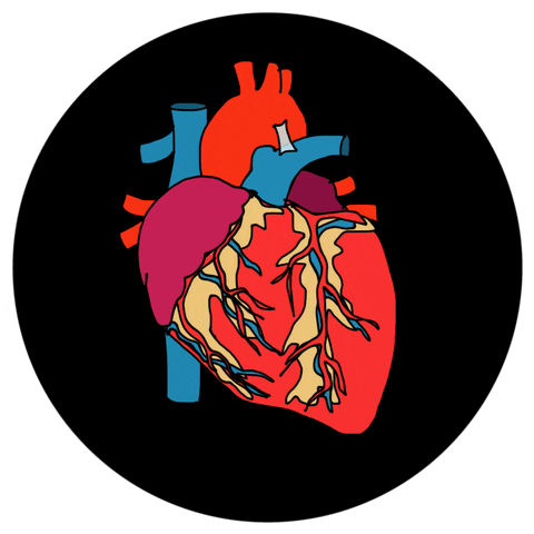 My Heart Beats For You GIFs Get The Best GIF On GIPHY