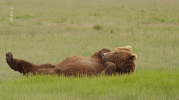 200.gif?cid=f0bdee70g92dgucjfco30c4e20eh9pkmix5aymntdv3cm8mu&rid=200.gif&ct=g