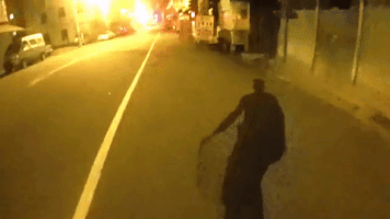 leo424y  GIF