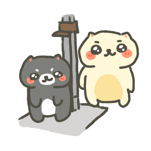 Body Size Cute Cat GIF