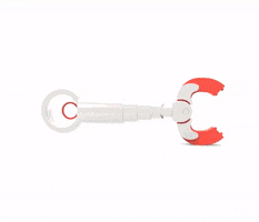 3D Covermounts GIF by mike del forno