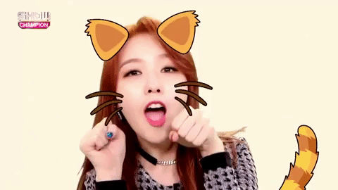 cat kpop k-pop kitty k pop GIF
