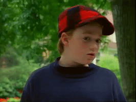 the adventures of pete and pete omg GIF