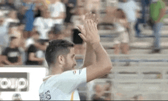 excited serie a GIF by AS Roma