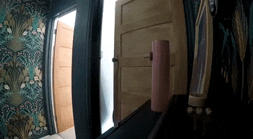 houseof GIF