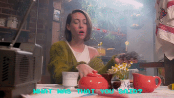 indie musicvideo GIF by Polyvinyl Records