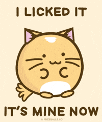 Funny-animated-gifs GIFs - Get the best GIF on GIPHY Funny-animated-gifs GIFs - Get the best GIF on GIPHY