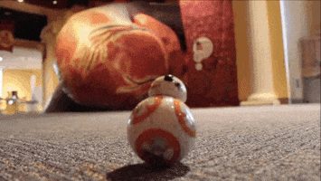 200.gif?cid=fc005b0871794ea9117b7355638354076302db5d60ba6980&rid=200.gif&ct=g