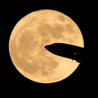 moon airplane GIF by NASA