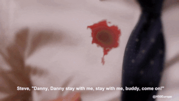 Steve Mcgarrett Danny Williams. Mcdanno GIF