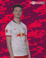 No Way What GIF by RB Leipzig