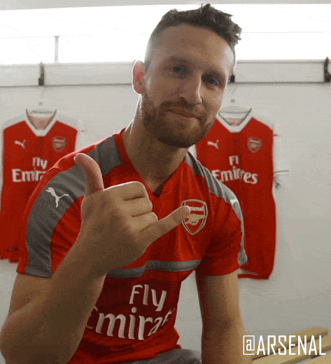 Giphy - happy shkodran mustafi GIF by Arsenal