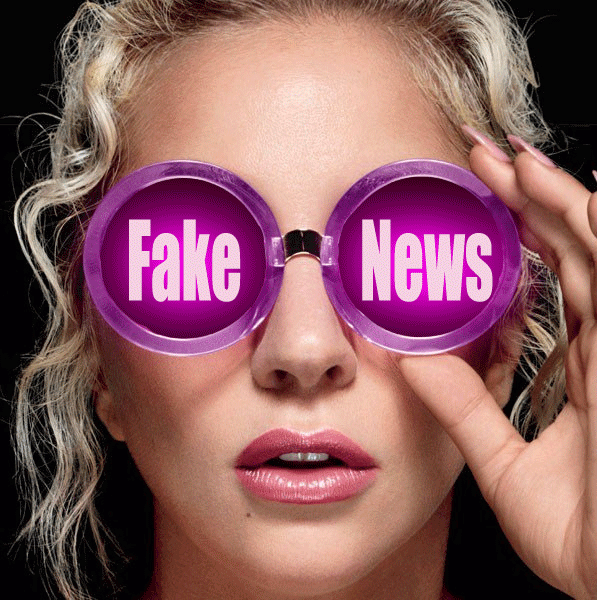 Ship-per lady gaga gaga fake news joanne GIF