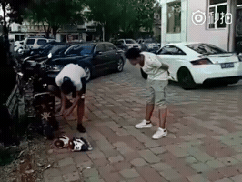 hoangsongthai  GIF