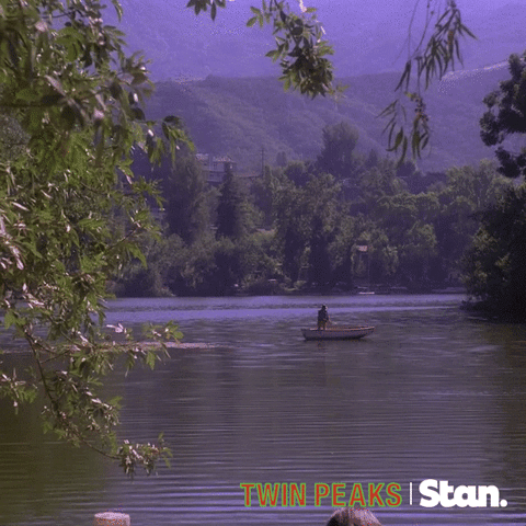 twin peaks GIF by Stan.
