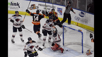 hockey pictures GIF by Greenville Swamp Rabbits