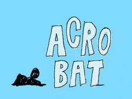 sebton acrobat GIF