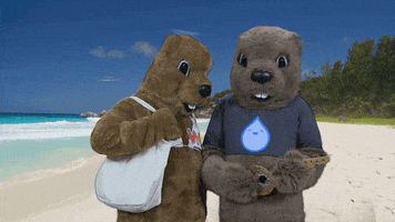 Groundhog GIF by Weather Underground