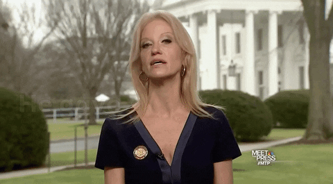 Kellyanne Conway Liar GIF by Election 2016 - Find & Share on GIPHY