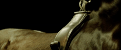 Raw Movie GIF by FocusWorld