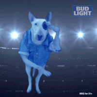 spuds mackenzie cheers GIF by Bud Light