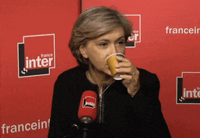 valerie pecresse wtf GIF by franceinfo