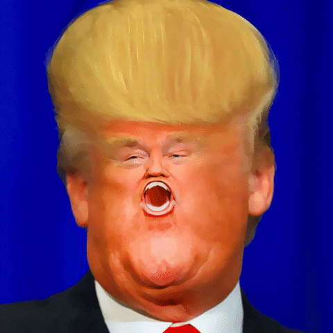Donald Trump GIF by rubenscantuni