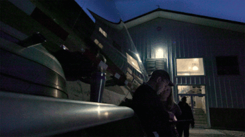 scurry  GIF