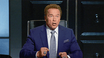 arnold schwarzenegger television GIF by The New Celebrity Apprentice