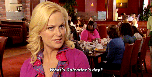 Parks And Rec Happy Galentines Day GIF by NBC - Find & Share on GIPHY