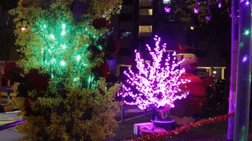 chinese new year decorations GIF by Mashable