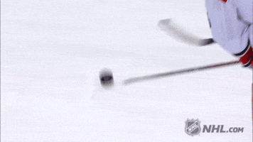 ice hockey puck GIF by NHL