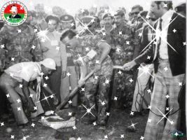 zubairtanvirsiddique  GIF