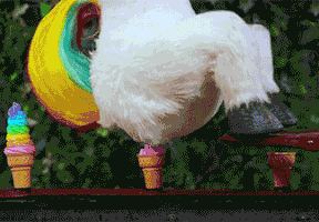 natanpaoloolguinespinosa  GIF