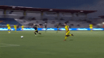 Soccer David GIF by New Mexico United