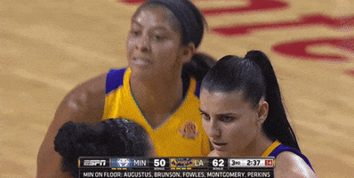 Game 3 Applause GIF by WNBA