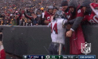 Ryan Griffin Football GIF by NFL