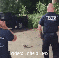 larswienand-5f50  GIF