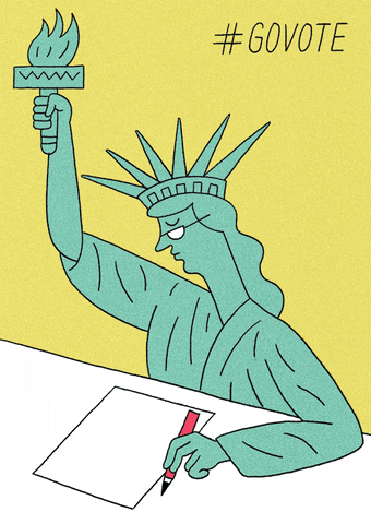 Voting New York GIF by #GoVote