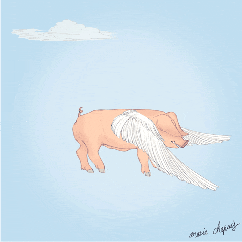 when pigs fly wings GIF by Marie Chapuis